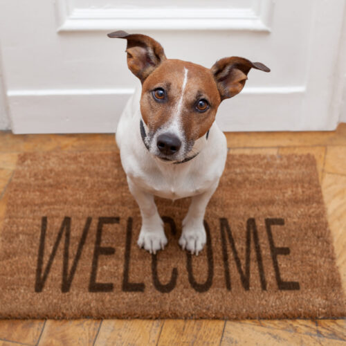 test