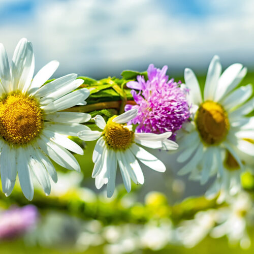 test